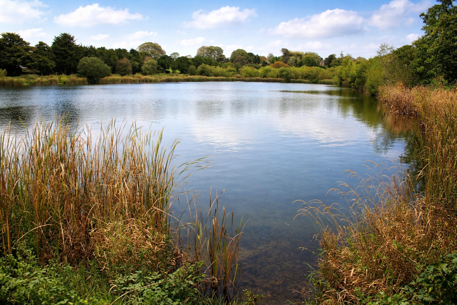 North Staffs Angling waterside scene