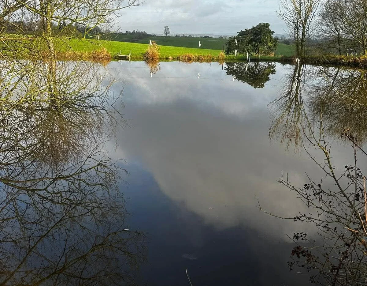 The Spinney Pool at North Staffs Angling